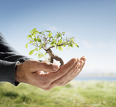 Reduce Your Carbon Footprint – Buy Eco Promotional Products