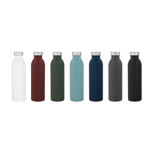 20.9 oz double wall 18/8 stainless steel thermal bottle